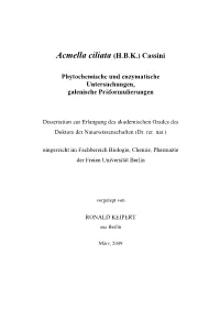 Acmella Ciliata (H.B.K.) Cassini