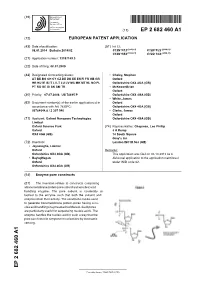Enzyme-Pore Constructs