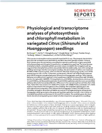 Physiological and Transcriptome Analyses of Photosynthesis