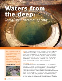 Waters from the Deep: Taff's Well Thermal Spring