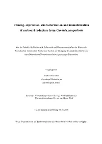 Cloning, Expression, Characterization and Immobilization of Carbonyl Reductase from Candida Parapsilosis