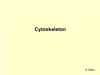 Cytoskeleton