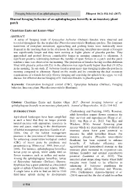 Diurnal Foraging Behavior of an Aphidophagous Hoverfly in an Insectary Plant Patch
