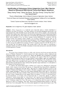 Identification of Vietnamese Ochna Integerrima&Nbsp