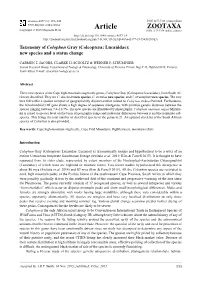 Taxonomy of Colophon Gray (Coleoptera: Lucanidae): New Species and a Status Change