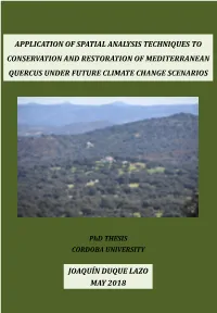 Application of Spatial Analysis Techniques to Conservation and Restoration of Mediterranean Quercus Under Future Climate Change Scenarios