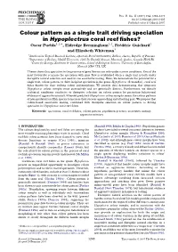 Colour Pattern As a Single Trait Driving Speciation in Hypoplectrus Coral