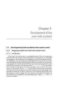 Chapter 5 Development of the Core Melt Accident