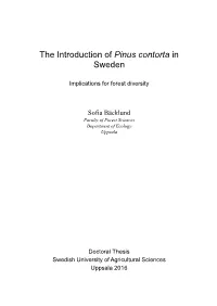The Introduction of Pinus Contorta in Sweden