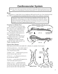 Cardiovascular System Note: the Cardiovascular System Develops Early (Week-3), Enabling the Embryo to Grow Beyond the Short