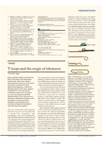T-Loops and the Origin of Telomeres E