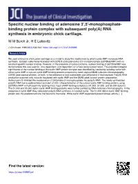 Monophosphate- Binding Protein Complex with Subsequent Poly(A) RNA Synthesis in Embryonic Chick Cartilage