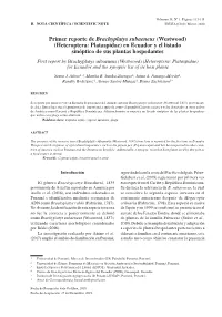 Primer Reporte De Brachyplatys Subaeneus (Westwood