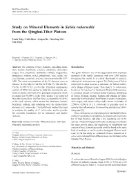 Study on Mineral Elements in Salvia Roborwskii from the Qinghai-Tibet Plateau