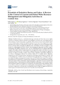 Essentials of Endorheic Basins and Lakes: a Review in the Context of Current and Future Water Resource Management and Mitigation Activities in Central Asia