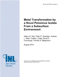 Metal Transformation by a Novel Pelosinus Isolate from a Subsurface Environment