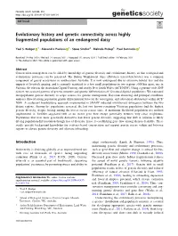 Evolutionary History and Genetic Connectivity Across Highly Fragmented Populations of an Endangered Daisy