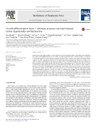 Growth/Differentiation Factor 1 Alleviates Pressure Overload-Induced Cardiac Hypertrophy and Dysfunction