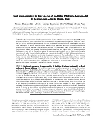 Shell Mor Shell Morphometrics in Four Species of Gadilidae (Mollusca, Our