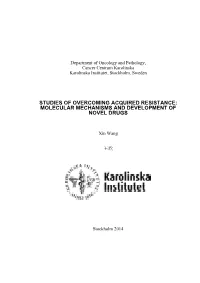 Final Version-Thesis-Xin