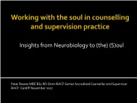 Working with the Soul in Counselling and Supervision Practice
