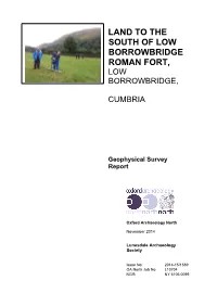 Geophysical Survey Report