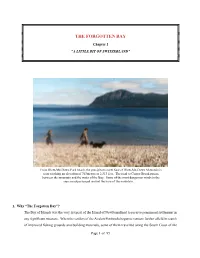 History of the Outer Bay of Islands