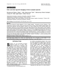 Intra- and Inter-Specific Foraging in Three Scorpion Species. Punjab Univ