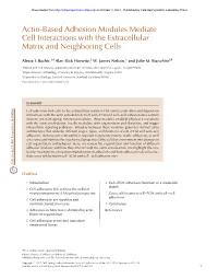 Actin-Based Adhesion Modules Mediate Cell Interactions with the Extracellular Matrix and Neighboring Cells