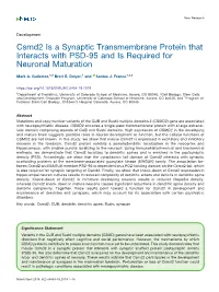 Csmd2 Is a Synaptic Transmembrane Protein That Interacts with PSD-95 and Is Required for Neuronal Maturation