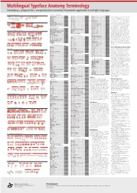 Multilingual Typeface Anatomy Terminology Developing a Proposal for a Comprehensive Translation Framework Applicable to Multiple Languages