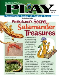 PA Salamanders