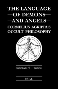 The Language of Demons and Angels Brill’S Studies in Intellectual History