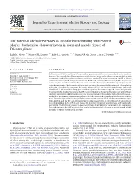 The Potential of Cholinesterases As Tools for Biomonitoring Studies with Sharks: Biochemical Characterization in Brain and Muscle Tissues of Prionace Glauca