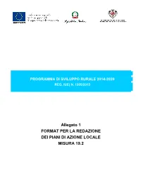 Allegato 1 FORMAT PER LA REDAZIONE DEI PIANI DI AZIONE LOCALE MISURA 19.2