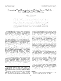 Constructing Visual Representations of Natural Scenes: the Roles of Short- and Long-Term Visual Memory