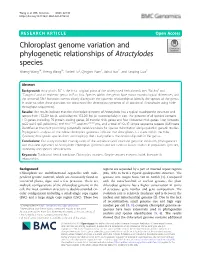 Chloroplast Genome Variation and Phylogenetic Relationships of Atractylodes Species