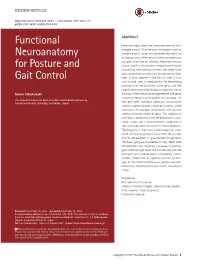 Functional Neuroanatomy for Posture and Gait Control