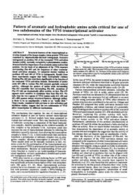 Pattern of Aromatic and Hydrophobic Amino Acids Critical for One of Two