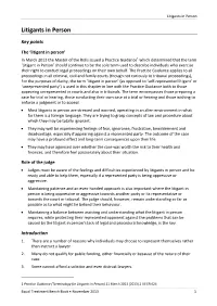 Litigants in Person
