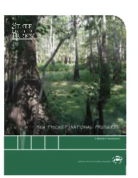 Print Big Thicket