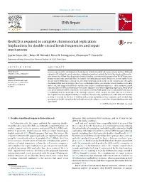 Recbcd Is Required to Complete Chromosomal Replication: Implications for Double-Strand Break Frequencies and Repair Mechanisms