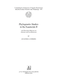 Phylogenetic Studies in the Euasterids II