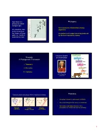 Phylogeny Diversity: a Phylogenetic Framework Phenetics