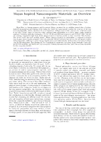 Mayan Inspired Nanocomposite Materials: an Overview R