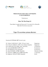 Type VI Secretion System Effectors
