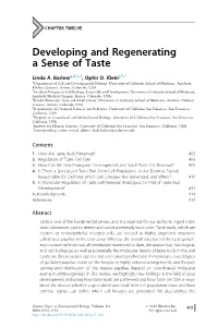 Developing and Regenerating a Sense of Taste