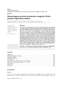 Heterologous Protein Production Using the Pichia Pastoris Expression System