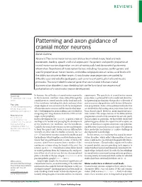 Patterning and Axon Guidance of Cranial Motor Neurons
