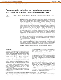 Size Clines but Not Saw Tooth Clines in Sweat Bees: Season Length, Body Size A
